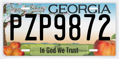GA license plate PZP9872