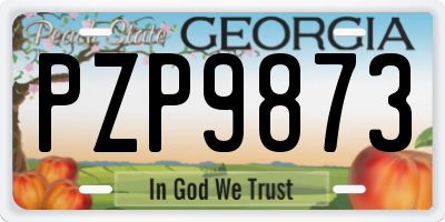 GA license plate PZP9873
