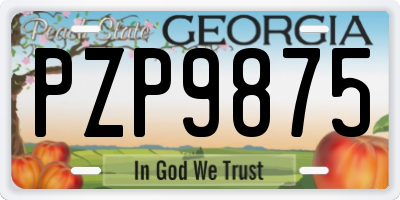 GA license plate PZP9875