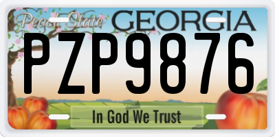 GA license plate PZP9876