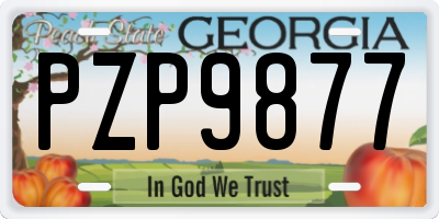 GA license plate PZP9877