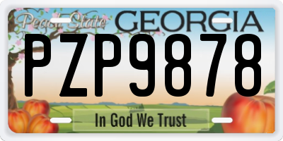GA license plate PZP9878