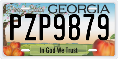 GA license plate PZP9879