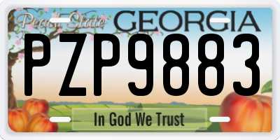 GA license plate PZP9883