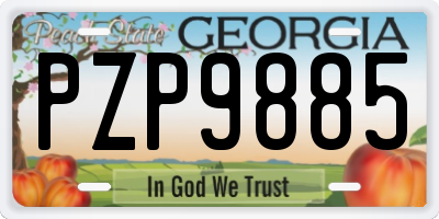 GA license plate PZP9885