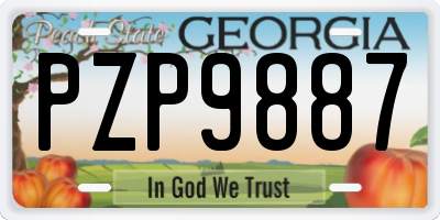 GA license plate PZP9887