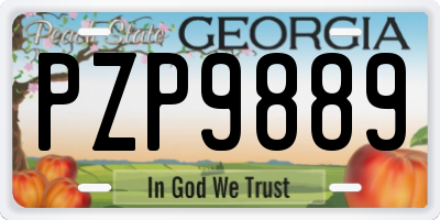 GA license plate PZP9889