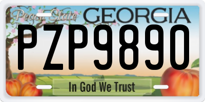 GA license plate PZP9890