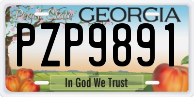 GA license plate PZP9891