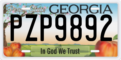 GA license plate PZP9892