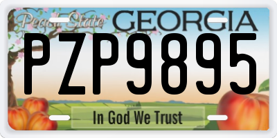 GA license plate PZP9895