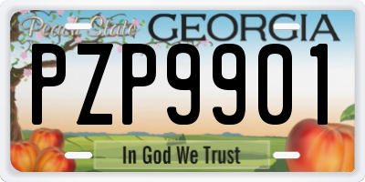 GA license plate PZP9901