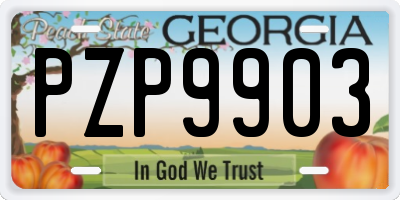 GA license plate PZP9903