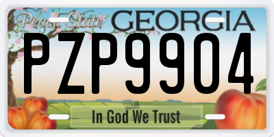 GA license plate PZP9904