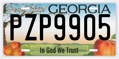 GA license plate PZP9905
