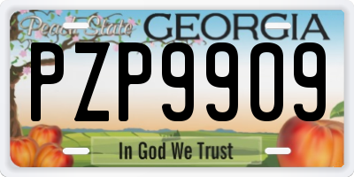 GA license plate PZP9909