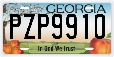 GA license plate PZP9910