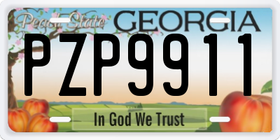 GA license plate PZP9911