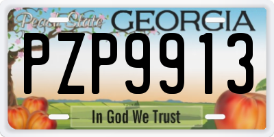 GA license plate PZP9913