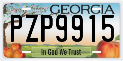 GA license plate PZP9915