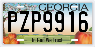 GA license plate PZP9916