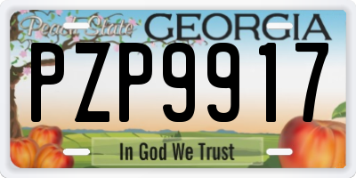 GA license plate PZP9917