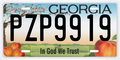 GA license plate PZP9919