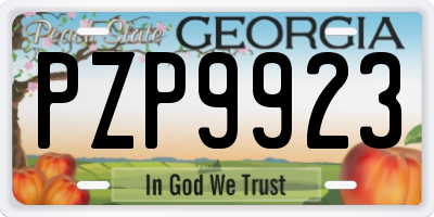 GA license plate PZP9923