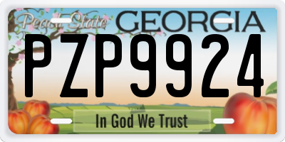 GA license plate PZP9924