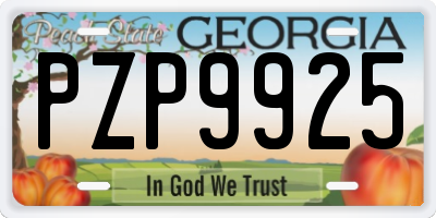 GA license plate PZP9925