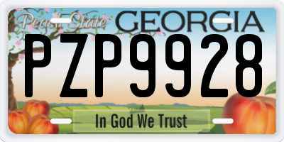GA license plate PZP9928