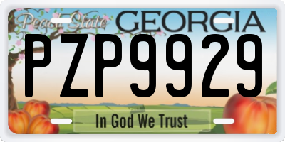 GA license plate PZP9929