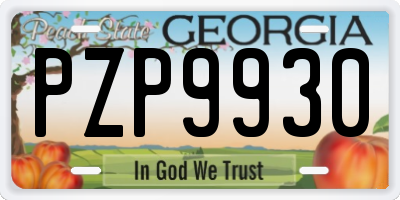 GA license plate PZP9930