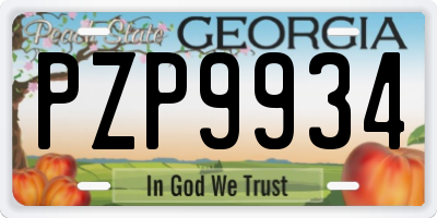GA license plate PZP9934
