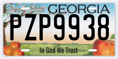 GA license plate PZP9938