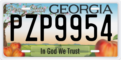 GA license plate PZP9954