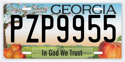 GA license plate PZP9955
