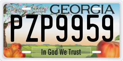 GA license plate PZP9959