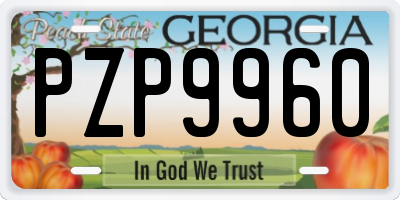 GA license plate PZP9960