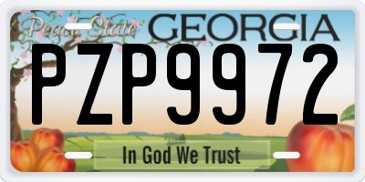 GA license plate PZP9972