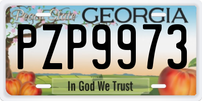 GA license plate PZP9973