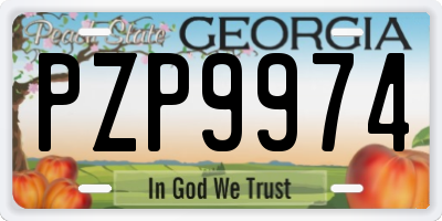 GA license plate PZP9974
