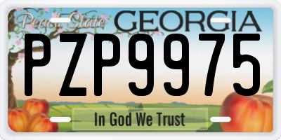 GA license plate PZP9975