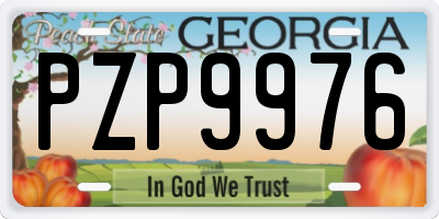 GA license plate PZP9976