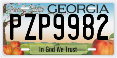 GA license plate PZP9982