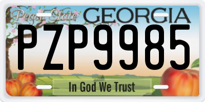 GA license plate PZP9985