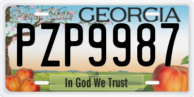 GA license plate PZP9987