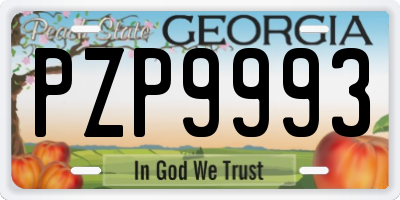 GA license plate PZP9993