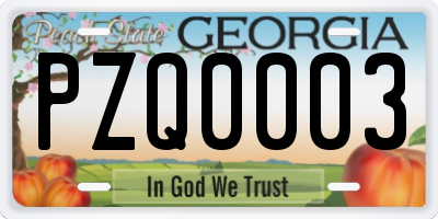 GA license plate PZQ0003