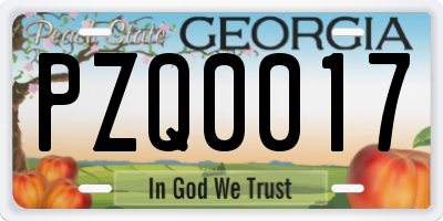GA license plate PZQ0017